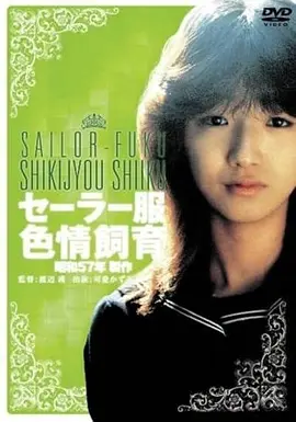 校园画面,青灰冷调色调